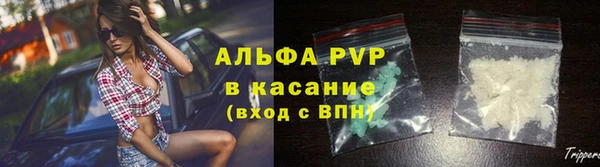 сатива Арсеньев