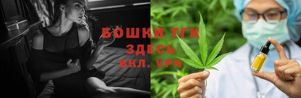 сатива Арсеньев