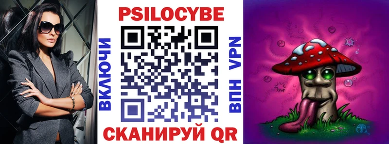 Галлюциногенные грибы Psilocybe  дарнет шоп  Острогожск 